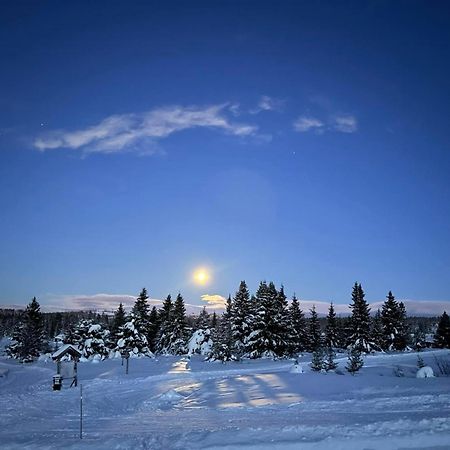Nordseter Fjellpark, Hyttegrend Екстериор снимка