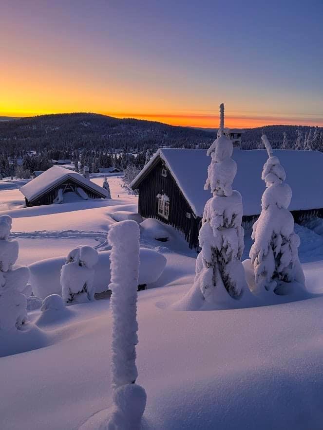 Nordseter Fjellpark, Hyttegrend Стая снимка